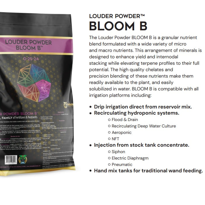 Louder Powder - Bloom B